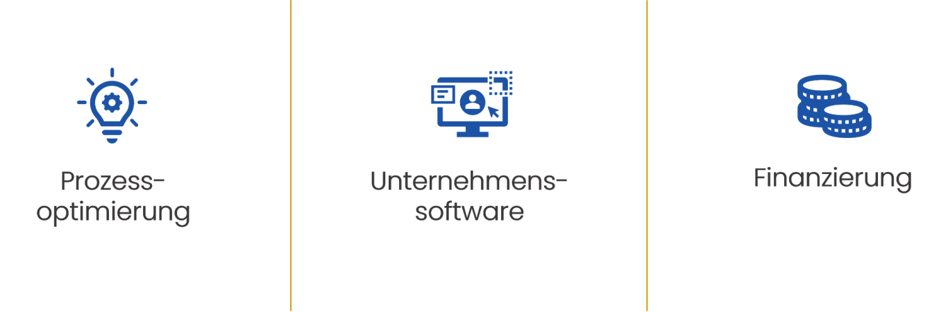 Symbole für Prozessoptimierung, Unternehmenssoftware und Finanzierung.